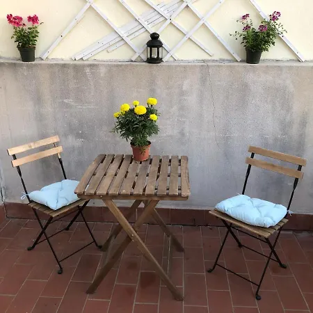 Terraza Centro Málaga