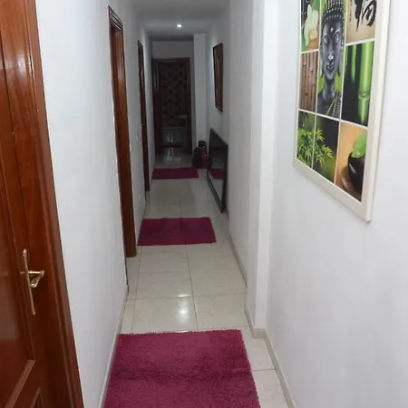 Terraza Centro Gasthuis Málaga